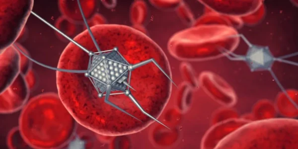 A UNB SEDIOU O I CONGRESSO BRASILEIRO DE NANOMEDICINA