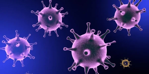 VÍRUS E SEU USO NA NANOMEDICINA